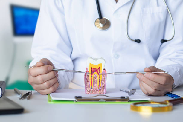 Best Emergency Treatment for Toothache in Pine Crest, TN